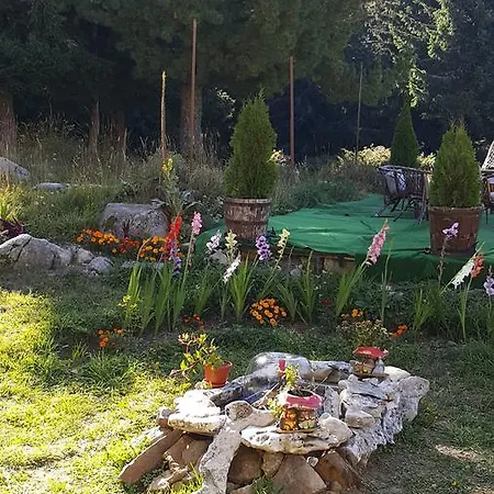 Zvezditsa Hut אכסניה *